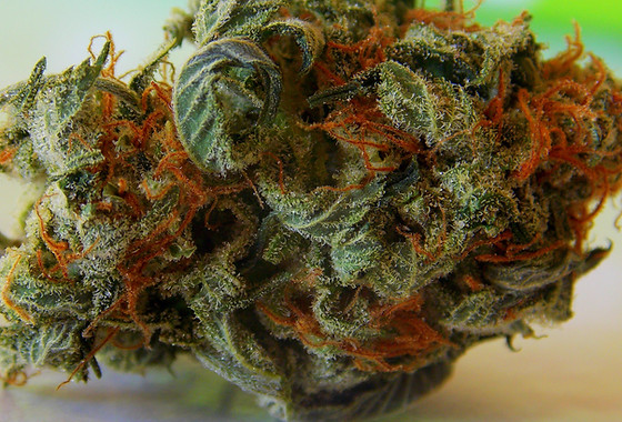 Anxiety and autism to be added to Ohio's medical marijuana program