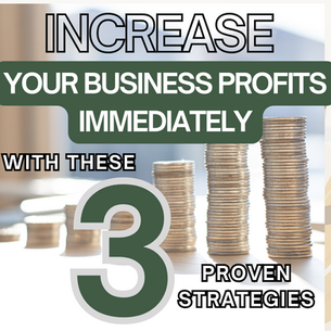 Increase Your Business Profits Immediately with these 3 Proven strategies