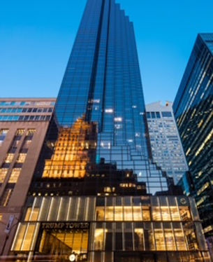 WIX website 2 tall building.jpg