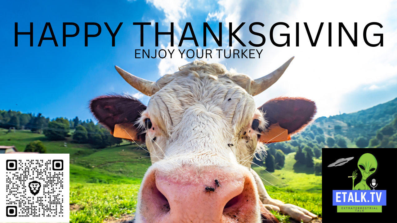 Happy Thanksgiving content media