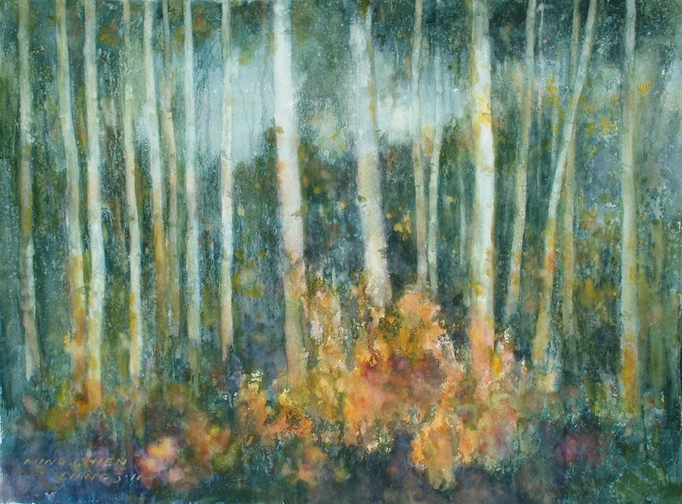 Birch Forest