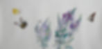 Flowers and butterflies