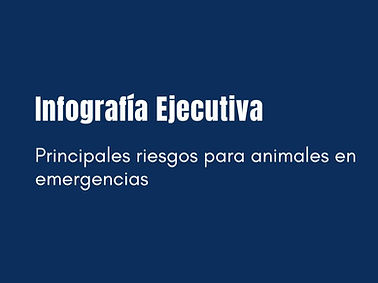 infografia ejecutiva_edited.jpg