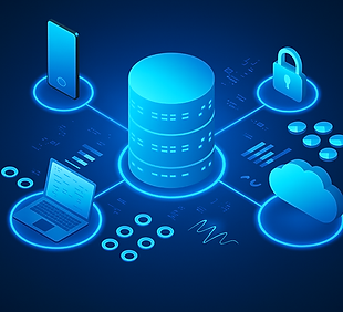 Data & Reconstrcution Web Page Image.png