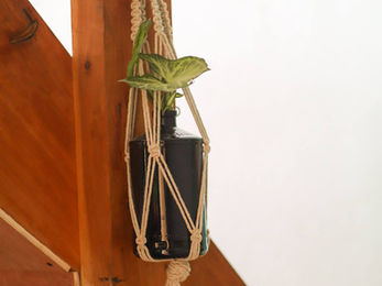 image00010.jpeg