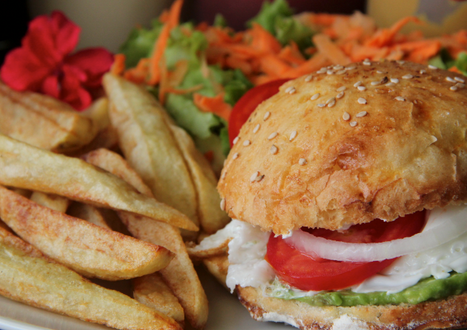 farm sandwich french fries salad chicken egg falafel avocado good food 
farm fresh organic healthy food good vibes tasty fresco granja organico comida buena sana sano saludable guatemala permacultura permaculture comida buena onda goat cheese