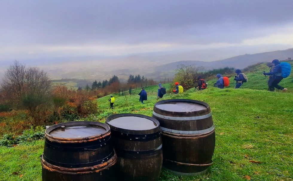 9 nov 25 - Chiroubles