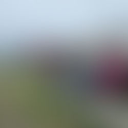 19-26 septembre Randonnée itinérante de Tréguier à Lannion