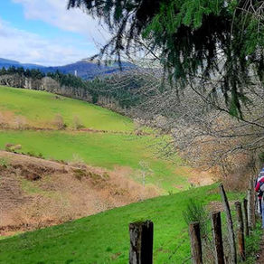 Valsonne (69) - 15 mars 2026