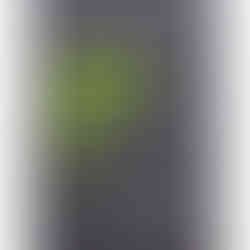 GSI-Modellgrafik Glenallachie 2006-2022 16J .: G-09/S-09/I-05, 23/30 Punkte, Geniesser.
