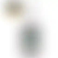 Eine Flasche vom London Dry Gin vom Breaks Premium in der Frontalansicht.