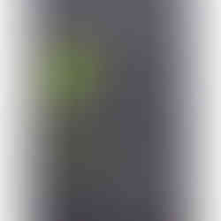 GSI-Modellgrafik Fassbind Port Cask Limited Edition Williams 3J .: G-06/S-05/I-01, 12/30 Punkte, Geniesser.