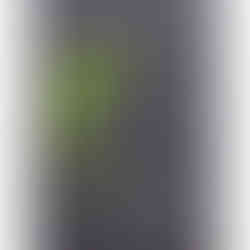 GSI-Modellgrafik Glen Scotia Old Label 18J .: G-08/S-05/I-04, 17/30 Punkte, Geniesser.
