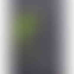 GSI-Modellgrafik Hibiki Suntory 30th Anniversary Blended Whisky NAS .: G-08/S-06/I-03, 17/30 Punkte, Geniesser.