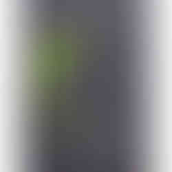 GSI-Modellgrafik Plantation 20th Anniversary Extra Old Rum XO .: G-07/S-04/I-03, 14/30 Punkte, Geniesser.