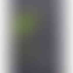 GSI-Modellgrafik Kavalan Amontillado Single Malt Taiwan Whisky 5J .: G-08/S-05/I-01, 14/30 Punkte, Geniesser.