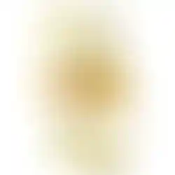 Eine Flasche Glencadam 1993 - 2015 Single Malt Scotch Whisky mit 22 Jahren in der Frontalansicht.