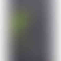 GSI-Modellgrafik Kilchoman Islay 6J .: G-07/S-05/I-03, 15/30 Punkte, Geniesser.