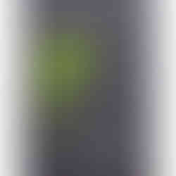 GSI-Modellgrafik Savanna 2004-2021 Rare Réunion Rum 17J . Rum Nation: G-08/S-08/I-05, 21/30 Punkte, Sammler.