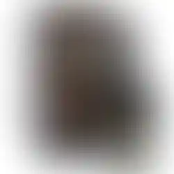 Eine Flasche vom Bunnahabhain 1992 - 2017 Single Malt Scotch Whisky mit 25 Jahren in der Frontalansicht.