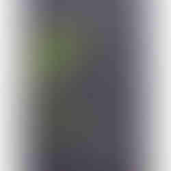 GSI-Modellgrafik Sakurao Original Hiroshima Japanese Dry Gin .: G-07/S-03/I-01, 11/30 Punkte, Geniesser.