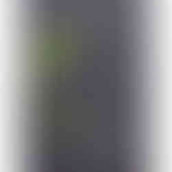 GSI-Modellgrafik Glendalough Leinster Small Batch Wild Botanical Irish Gin .: G-06/S-02/I-01, 9/30 Punkte, Geniesser.