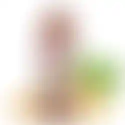 Eine Flasche Ingwerer Likör bio-zertifiziert und vegan mit 24.0% Volumen in der Frontalansicht.