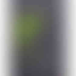 GSI-Modellgrafik Pusser's Gunpowder Proof Guyana Rum 3J .: G-09/S-07/I-04, 20/30 Punkte, Geniesser.