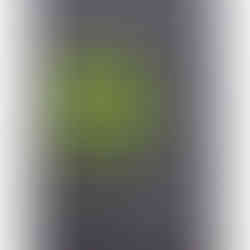 GSI-Modellgrafik Port Ellen 1977-2012 35J .: G-09/S-10/I-10, 29/30 Punkte, Sweet Spot.