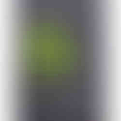 GSI-Modellgrafik Rosebank 1990-2022 31J .: G-08/S-10/I-10, 28/30 Punkte, Sweet Spot.