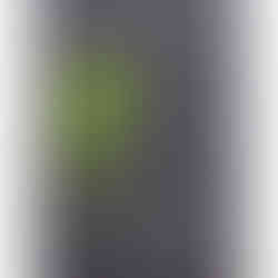 GSI-Modellgrafik Highland Park 1996-2010 14J .: G-07/S-07/I-05, 19/30 Punkte, Geniesser.