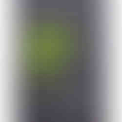 GSI-Modellgrafik Longmorn 1992-2014 22J .: G-09/S-10/I-07, 26/30 Punkte, Sweet Spot.