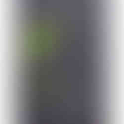 GSI-Modellgrafik Octomore Edition 13.1 5J .: G-07/S-04/I-01, 12/30 Punkte, Geniesser.
