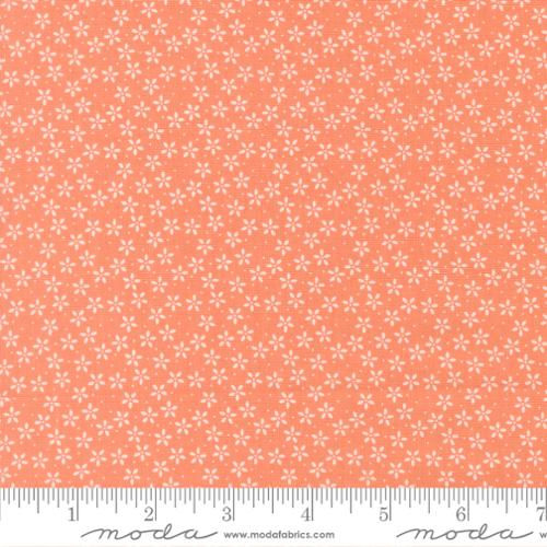 Pastel Prairie Coral M3178333