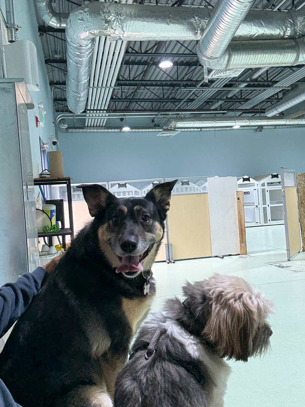 555601554_1580301023386711_4376422064126227166_n