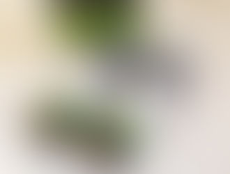 どの香りにする?