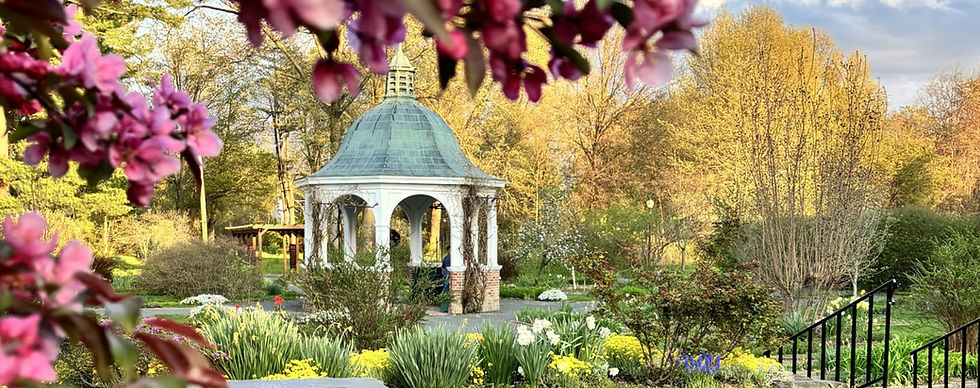 About - Summer House.JPEG