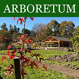 Arboretum.jpg
