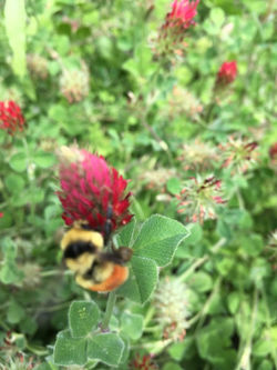 2016-08-13-13-58-02_orig