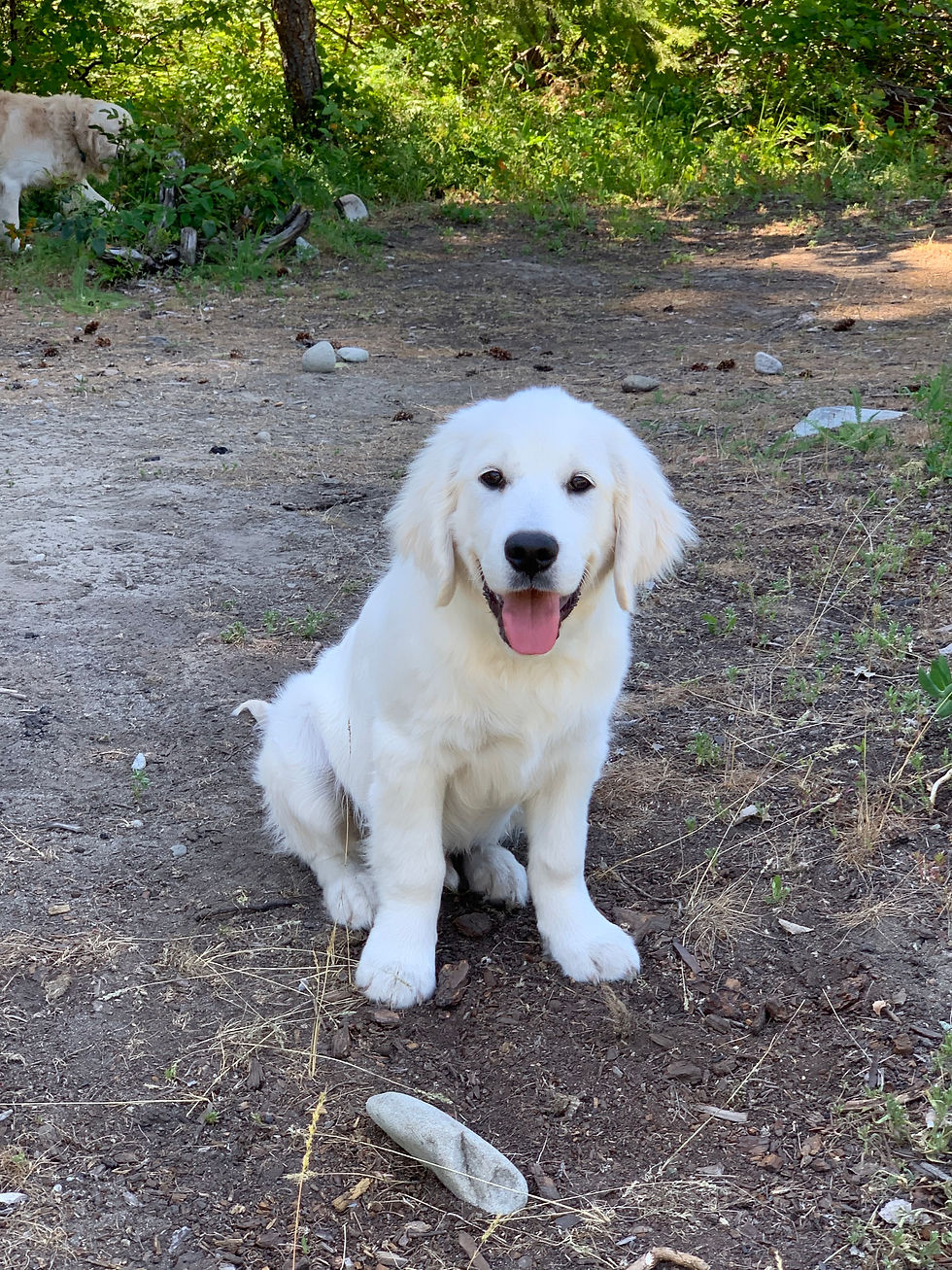 20190615_215119214_iOS