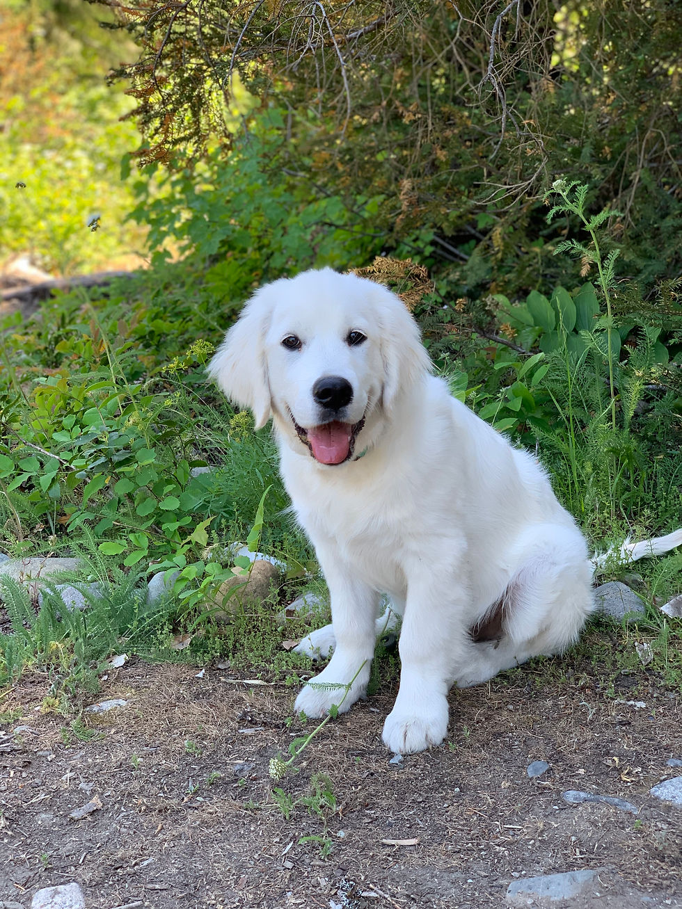 20190615_214939727_iOS