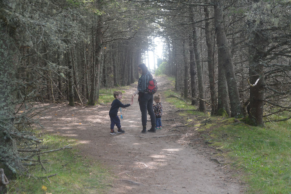 Mother and two young children standing on a forest trail, surrounded by tall trees, enjoying a break during a family hike.