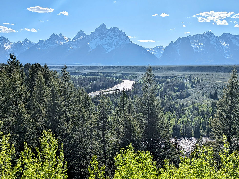 View of the Snake River winding through a green forest with the snow-capped peaks of the Grand Teton mountain range in the background.