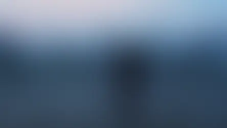 What Boxing Films Reveal About America