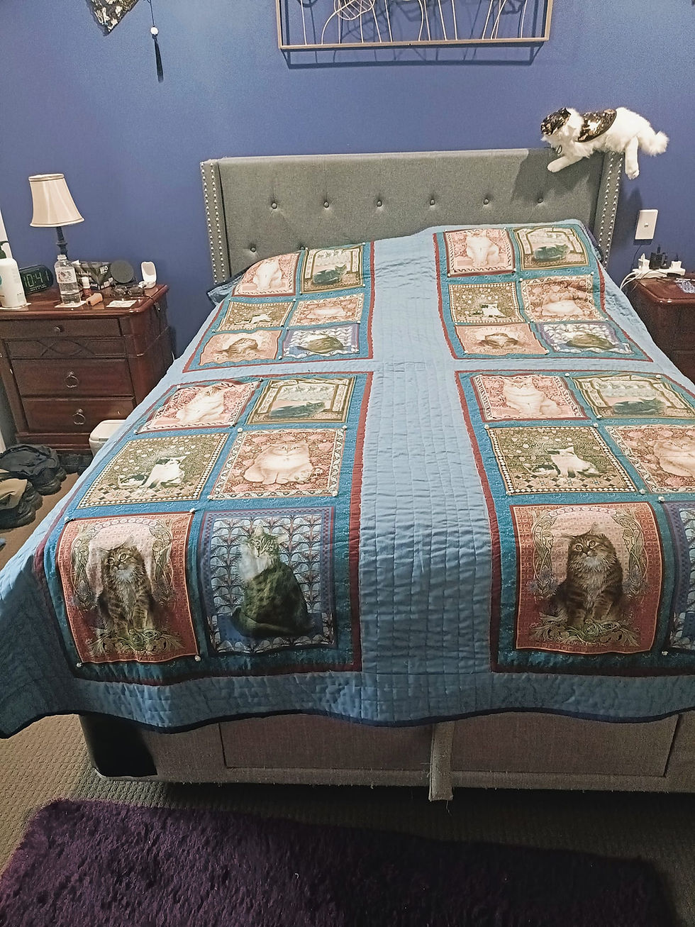 484988538_1846890886093953_2705293075386563733_n