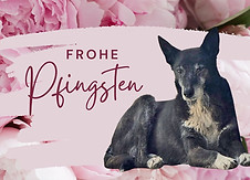 Frohe Pfingsten.jpg