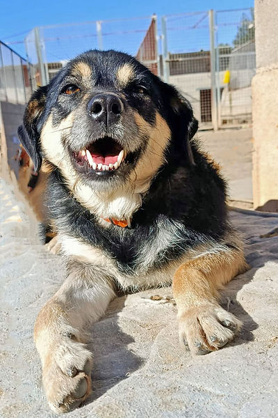Lola1.jpg