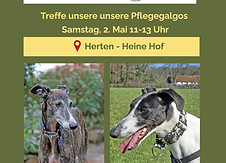 Treffe unsere unsere Pflegegalgos (800 x