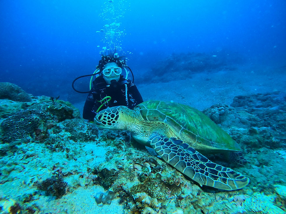 縮圖：證書課程 Certification  -【潛水入門】SDI 開放水域潛水員課程