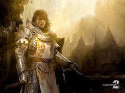 GuildWars2w291024x768088754h733.jpg